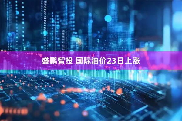 盛鹏智投 国际油价23日上涨