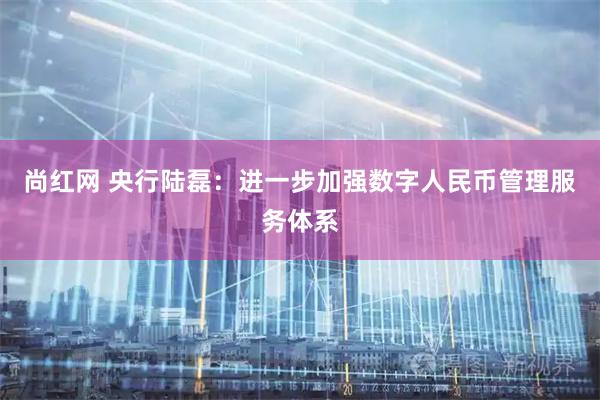 尚红网 央行陆磊：进一步加强数字人民币管理服务体系