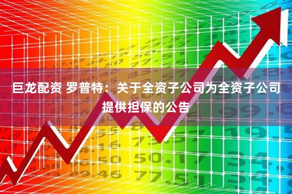 巨龙配资 罗普特：关于全资子公司为全资子公司提供担保的公告